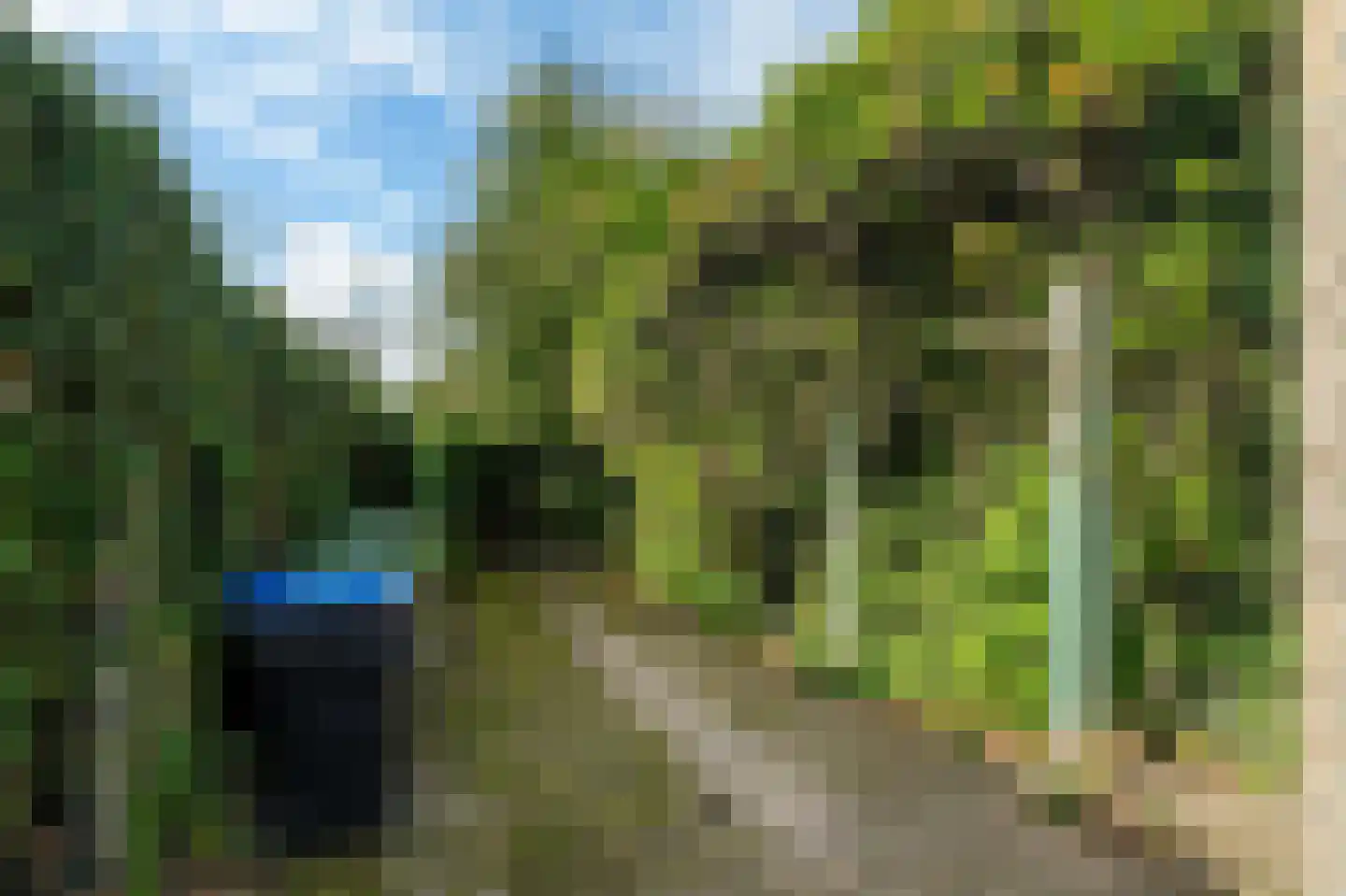 It Achterbosk 2 Stiens thumbnail 45