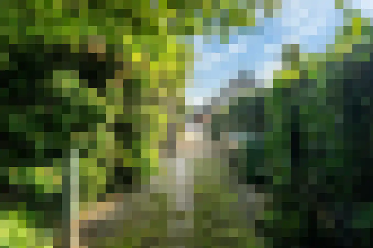 It Achterbosk 2 Stiens thumbnail 52