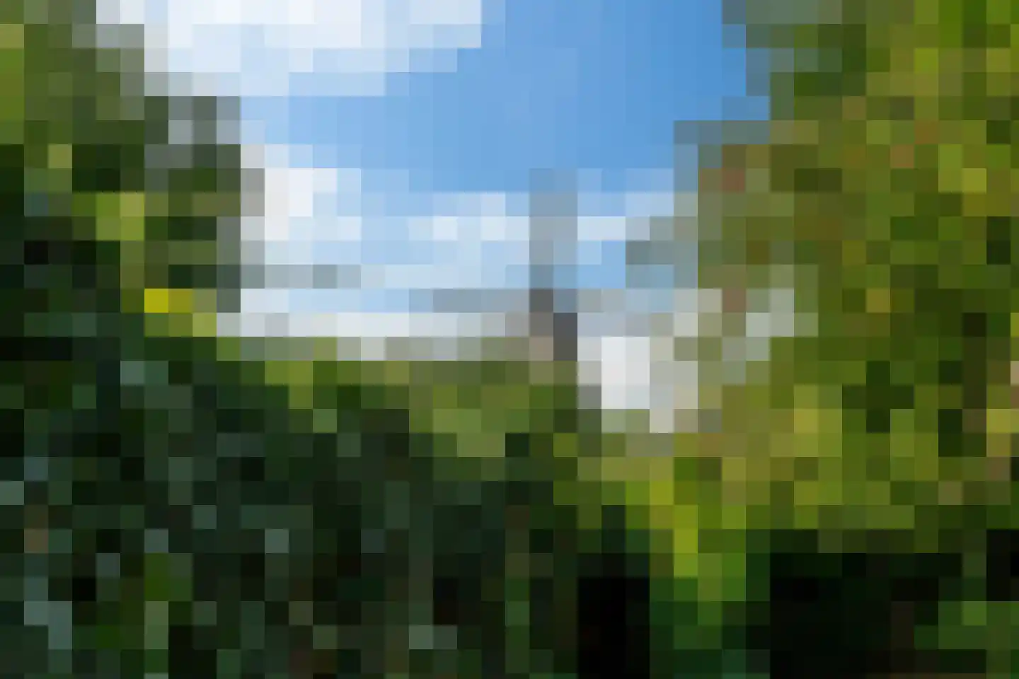It Achterbosk 2 Stiens thumbnail 53