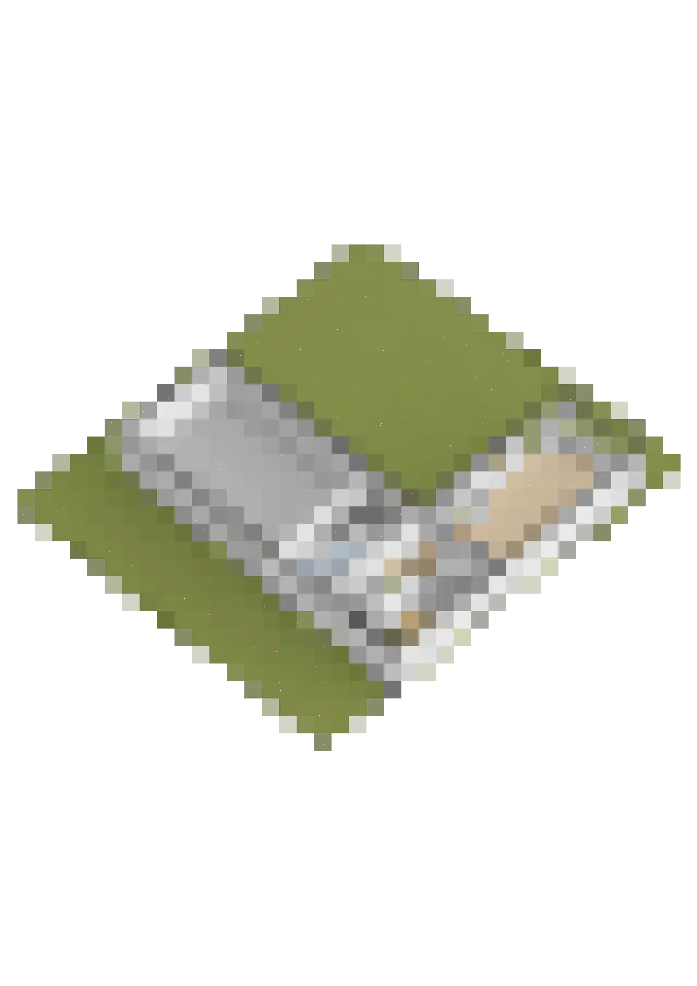 It Achterbosk 2 Stiens thumbnail 71
