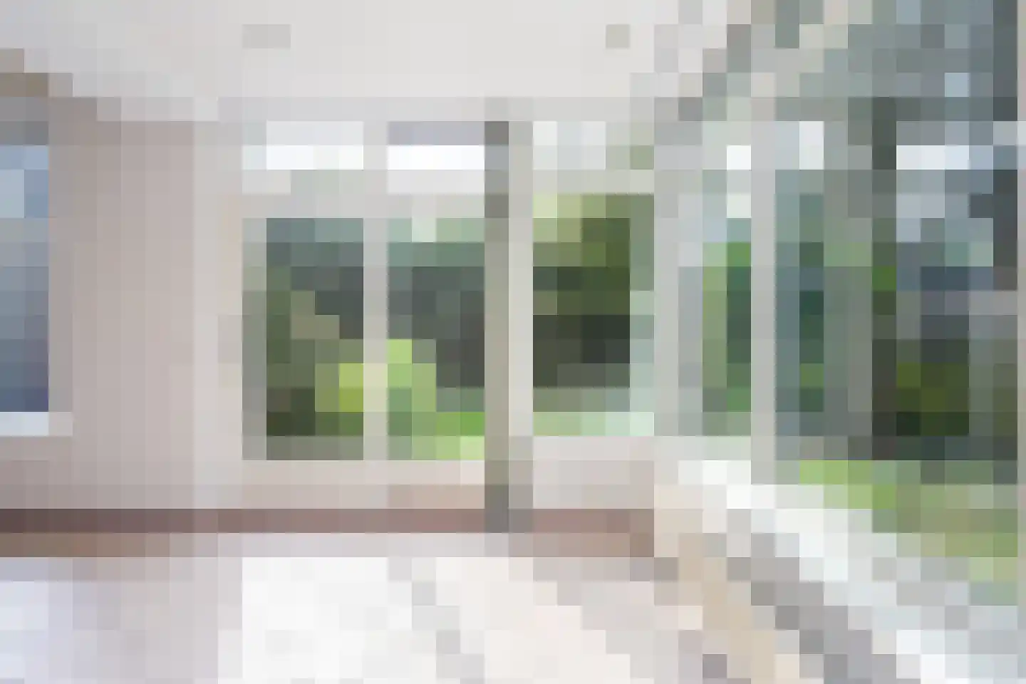 It Achterbosk 2 Stiens thumbnail 8