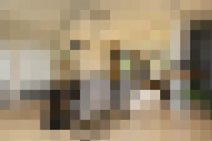 It Ald Hôf 2 Arum thumbnail 10