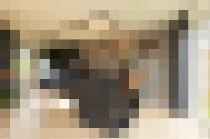 It Ald Hôf 2 Arum thumbnail 13