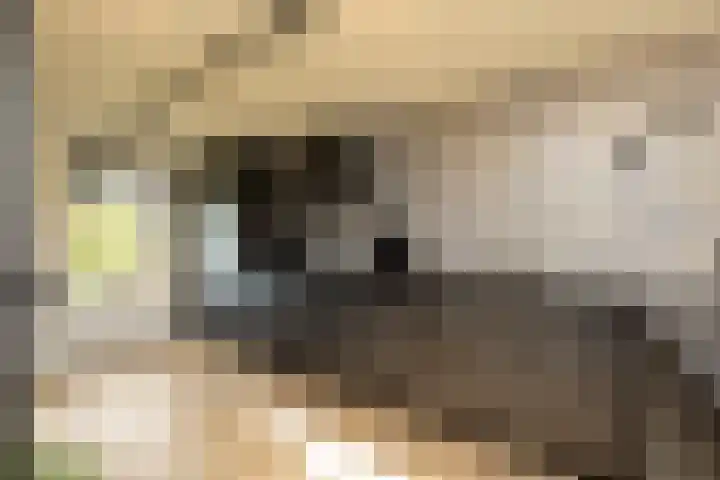 It Ald Hôf 2 Arum thumbnail 14