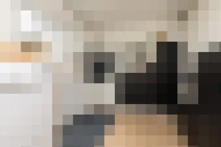 It Ald Hôf 2 Arum thumbnail 18