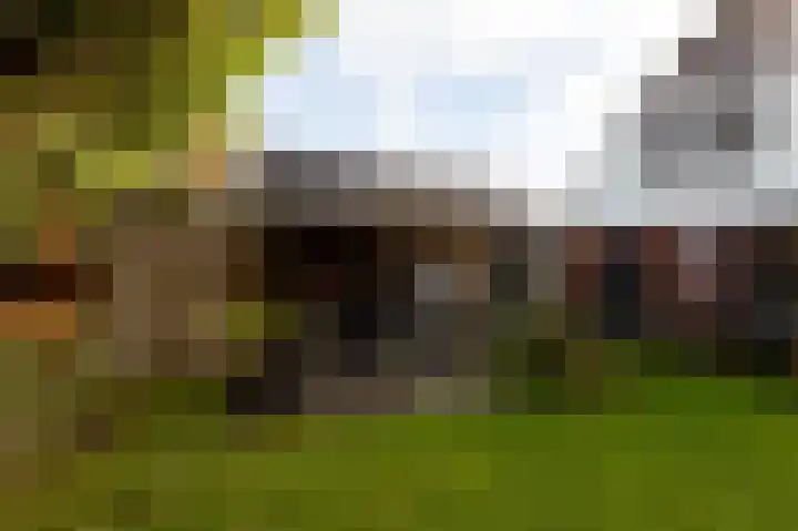 It Ald Hôf 2 Arum thumbnail 34