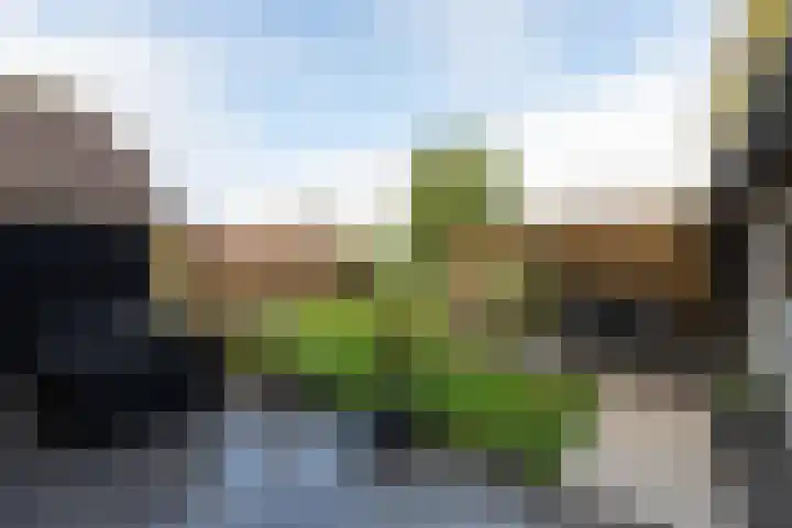 It Ald Hôf 2 Arum thumbnail 35
