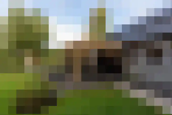 It Ald Hôf 2 Arum thumbnail 36