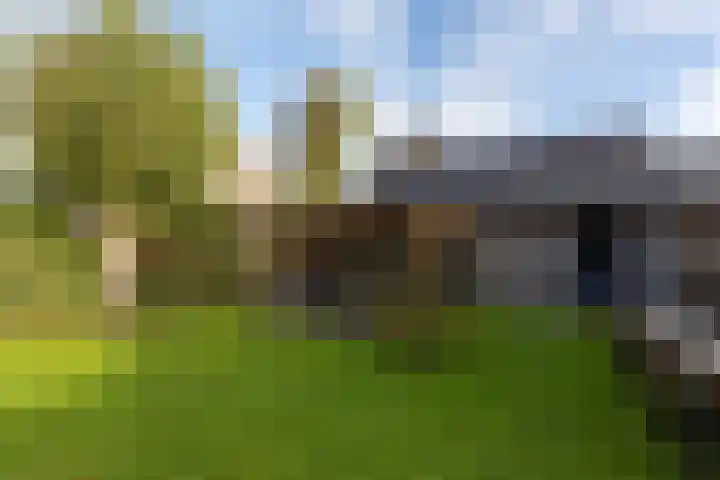 It Ald Hôf 2 Arum thumbnail 37