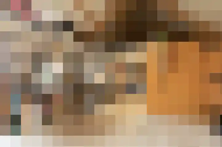 It Ald Hôf 2 Arum thumbnail 38