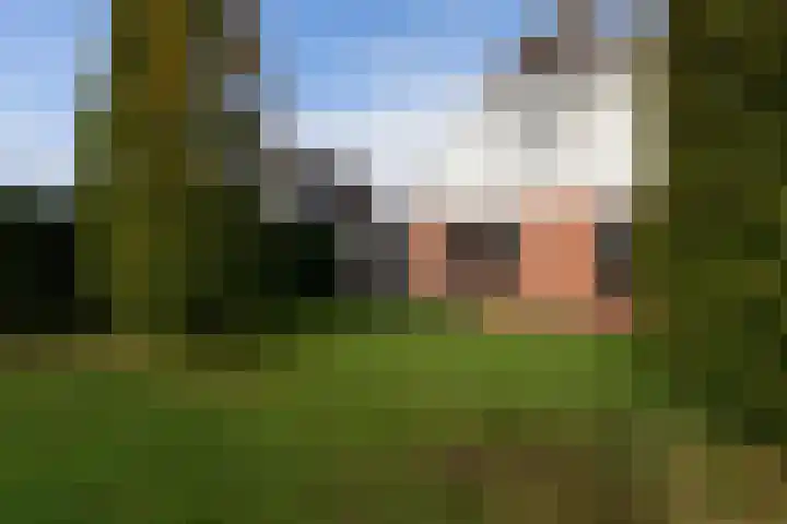 It Ald Hôf 2 Arum thumbnail 4