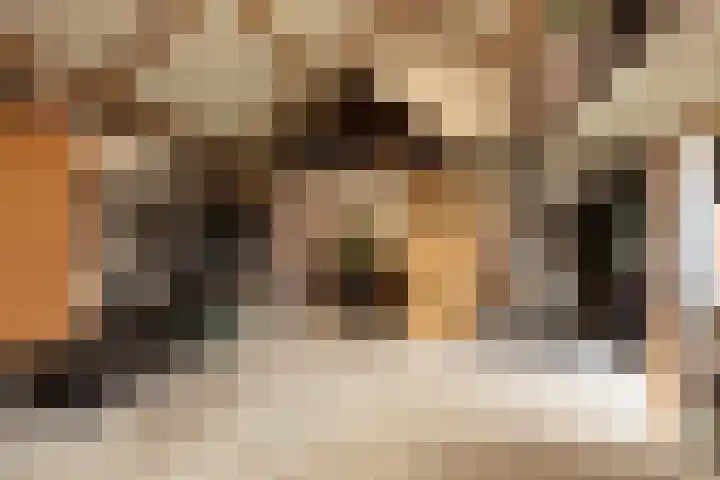 It Ald Hôf 2 Arum thumbnail 40