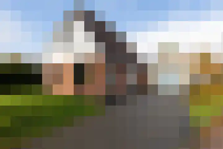 It Ald Hôf 2 Arum thumbnail 41