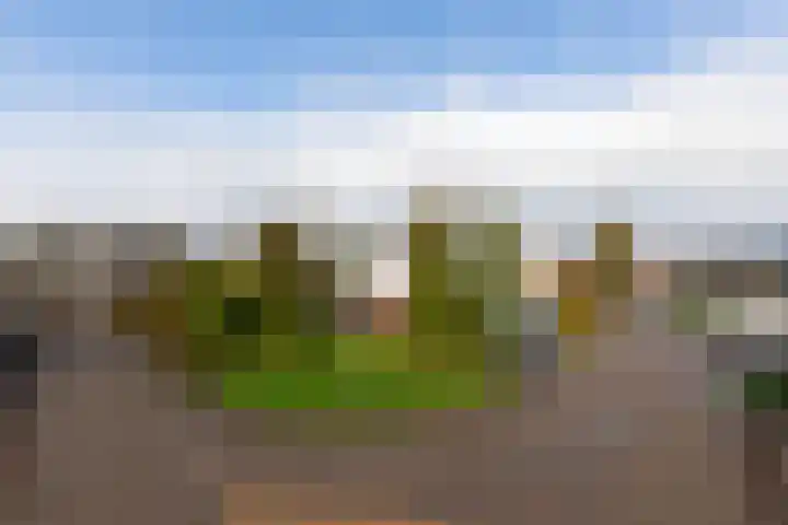 It Ald Hôf 2 Arum thumbnail 43