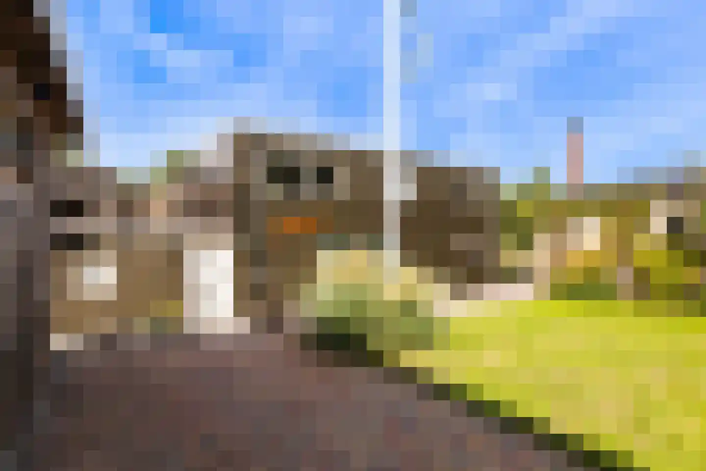 it Anker 9 Snakkerburen thumbnail 10