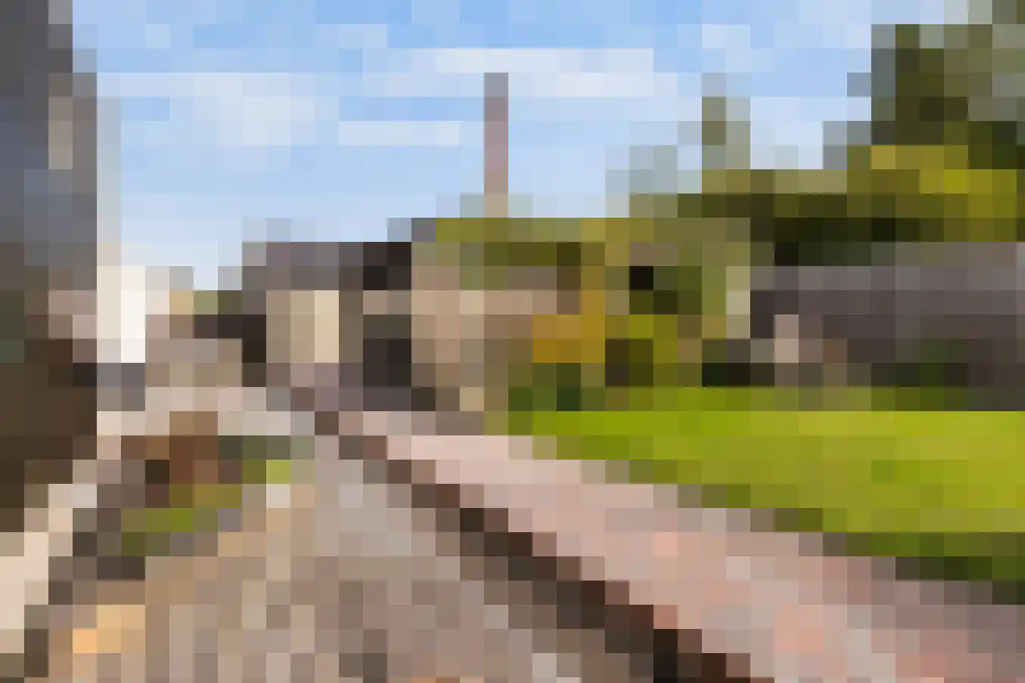 it Anker 9 Snakkerburen thumbnail 12