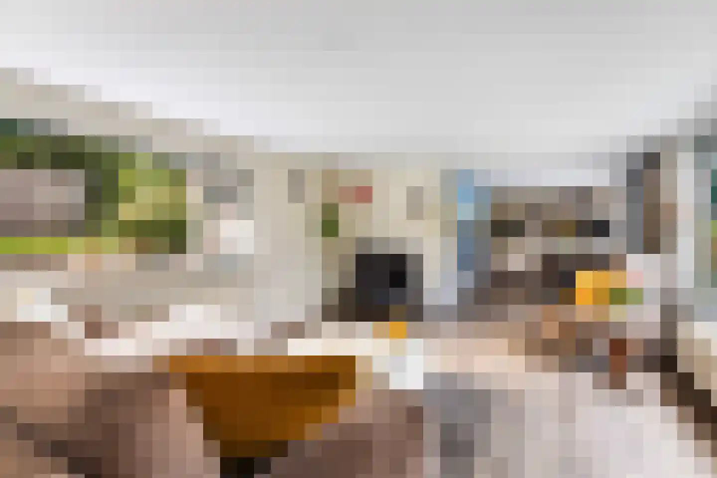 it Anker 9 Snakkerburen thumbnail 15