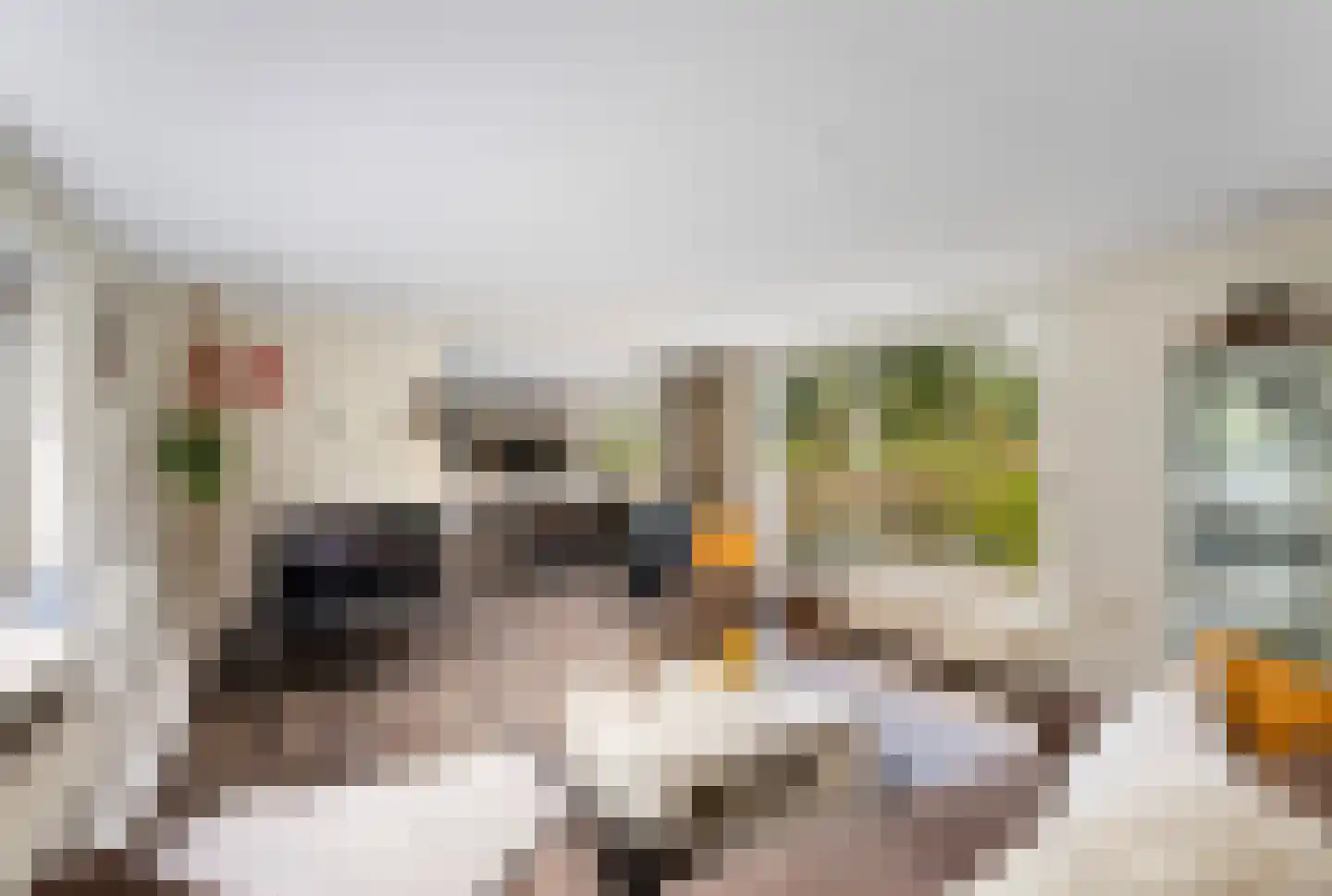 it Anker 9 Snakkerburen thumbnail 16