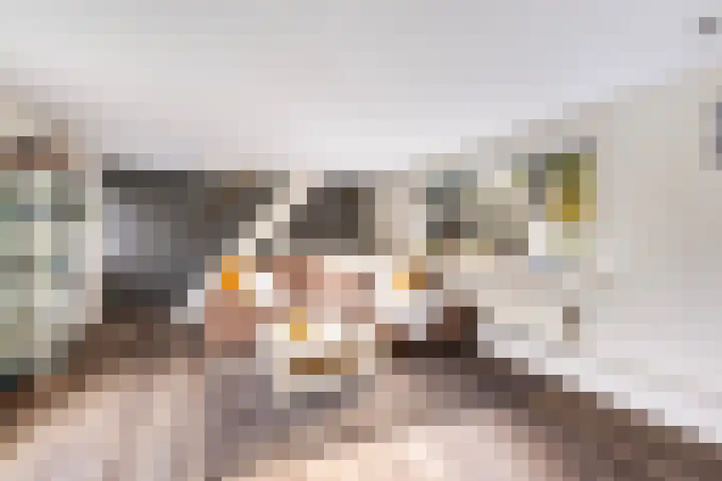 it Anker 9 Snakkerburen thumbnail 18