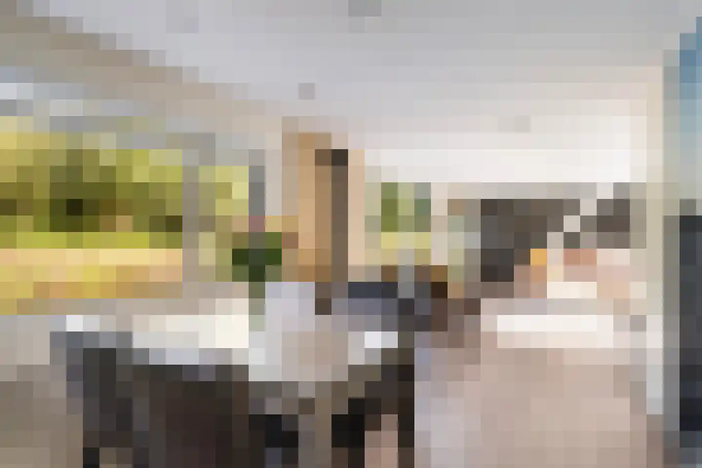 it Anker 9 Snakkerburen thumbnail 21