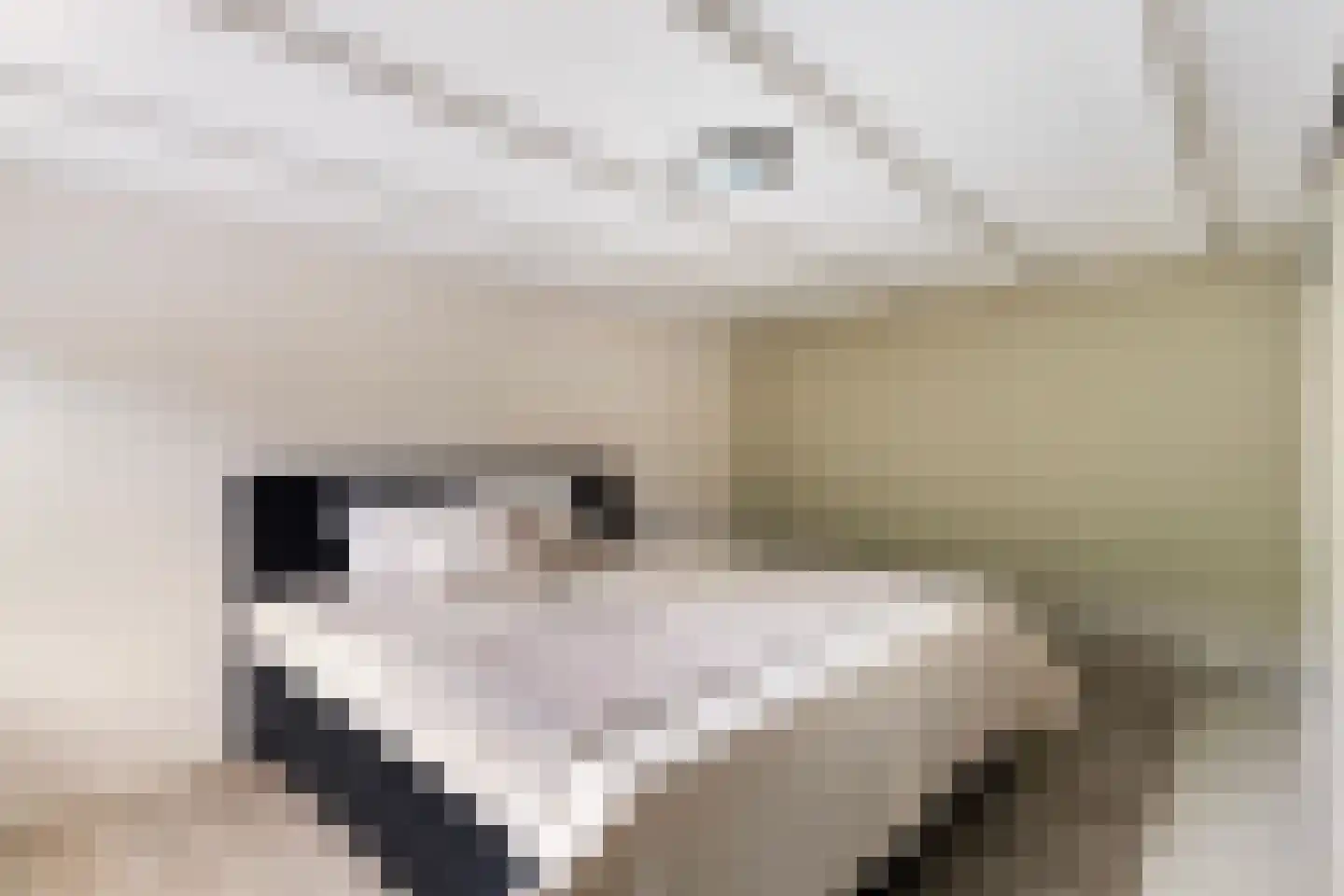 it Anker 9 Snakkerburen thumbnail 26