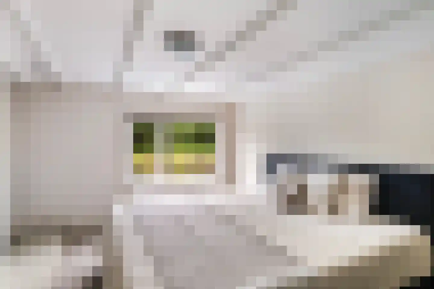 it Anker 9 Snakkerburen thumbnail 27