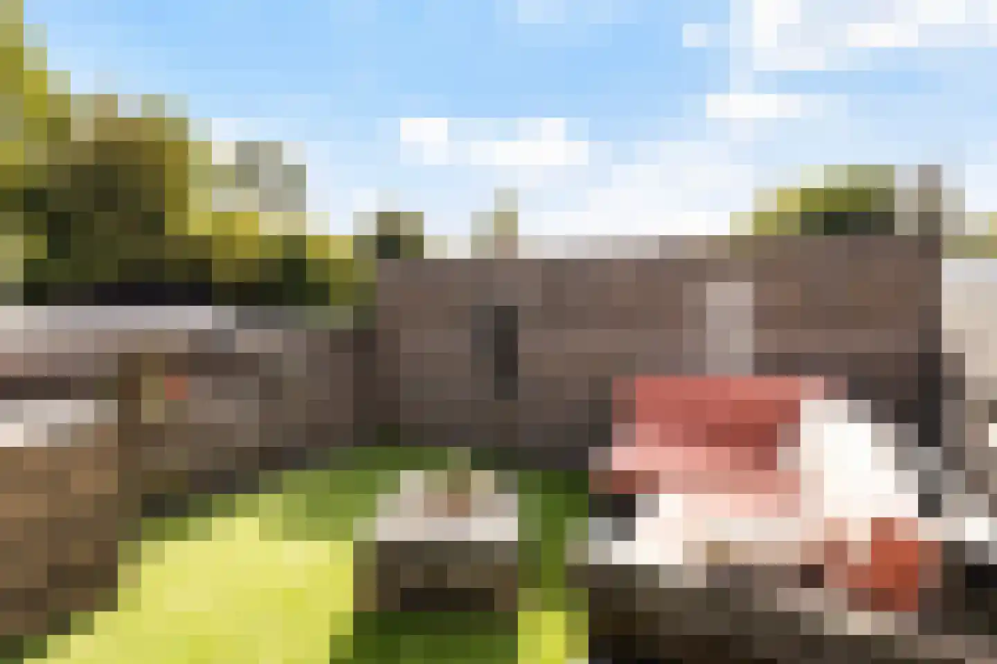 it Anker 9 Snakkerburen thumbnail 33