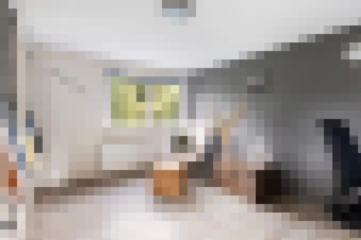 it Anker 9 Snakkerburen thumbnail 35