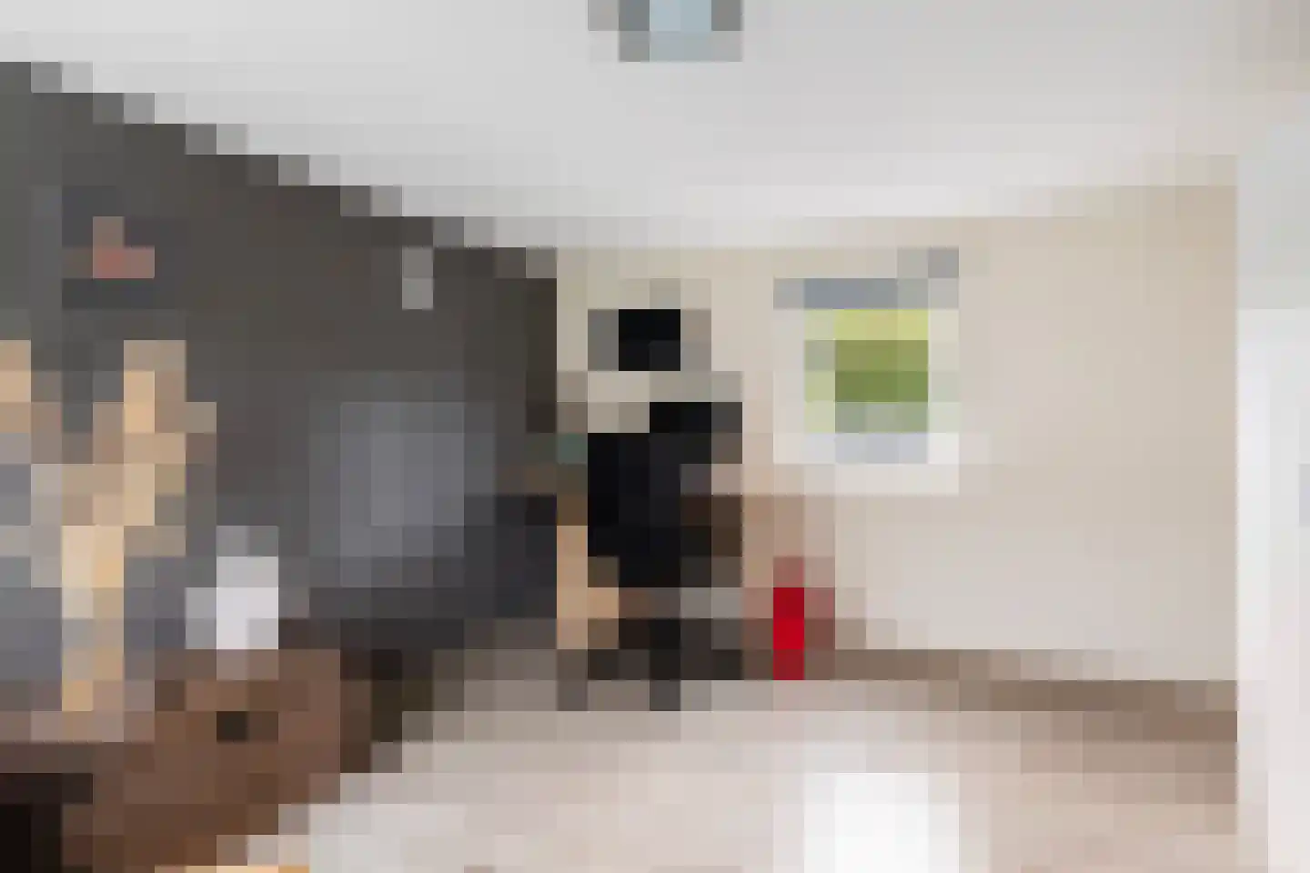 it Anker 9 Snakkerburen thumbnail 36