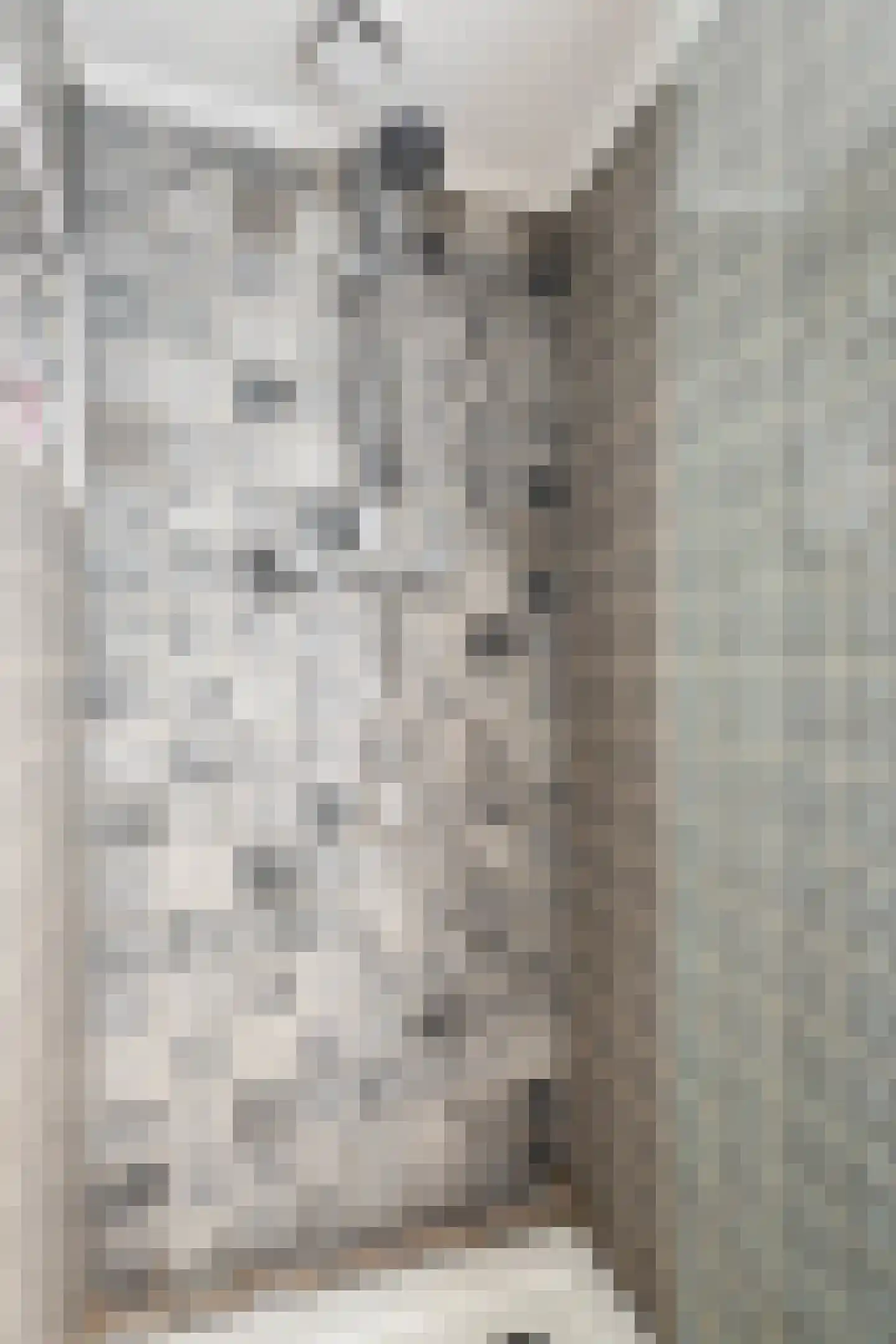 it Anker 9 Snakkerburen thumbnail 39