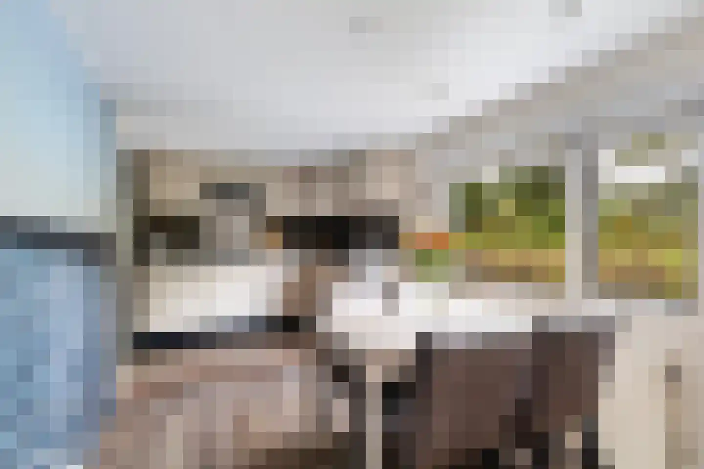 it Anker 9 Snakkerburen thumbnail 4