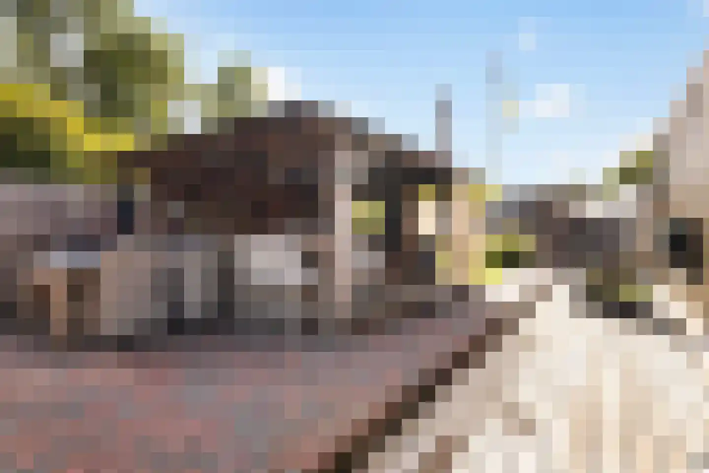 it Anker 9 Snakkerburen thumbnail 40