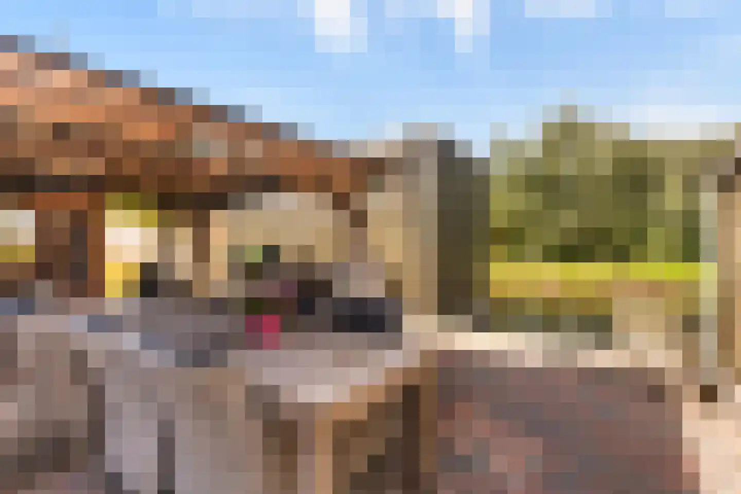 it Anker 9 Snakkerburen thumbnail 41