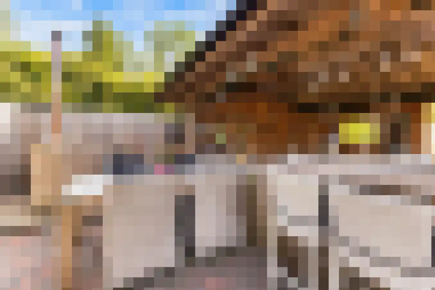 it Anker 9 Snakkerburen thumbnail 42