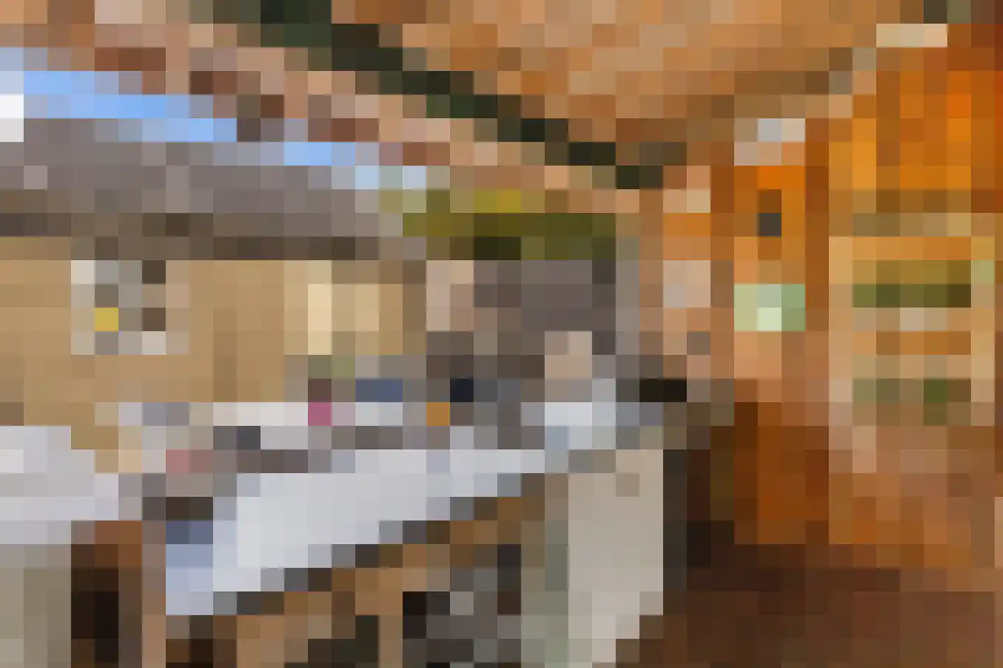 it Anker 9 Snakkerburen thumbnail 44