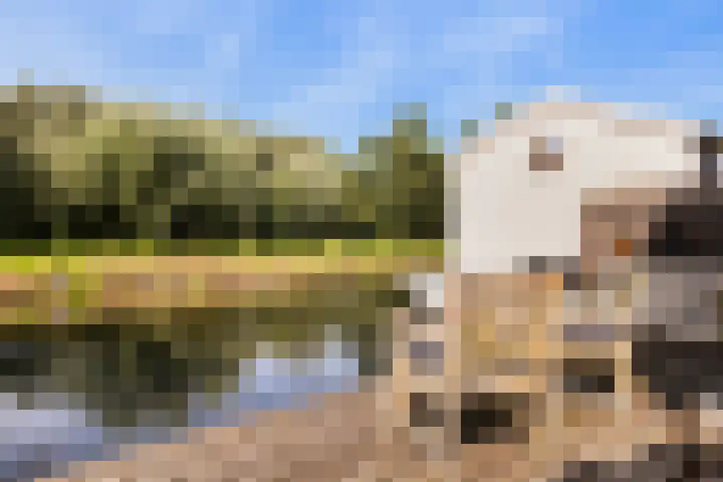 it Anker 9 Snakkerburen thumbnail 45