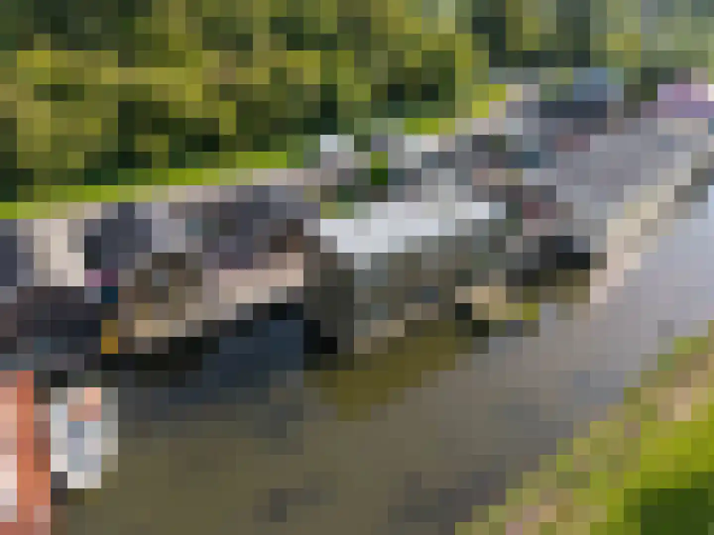 it Anker 9 Snakkerburen thumbnail 49