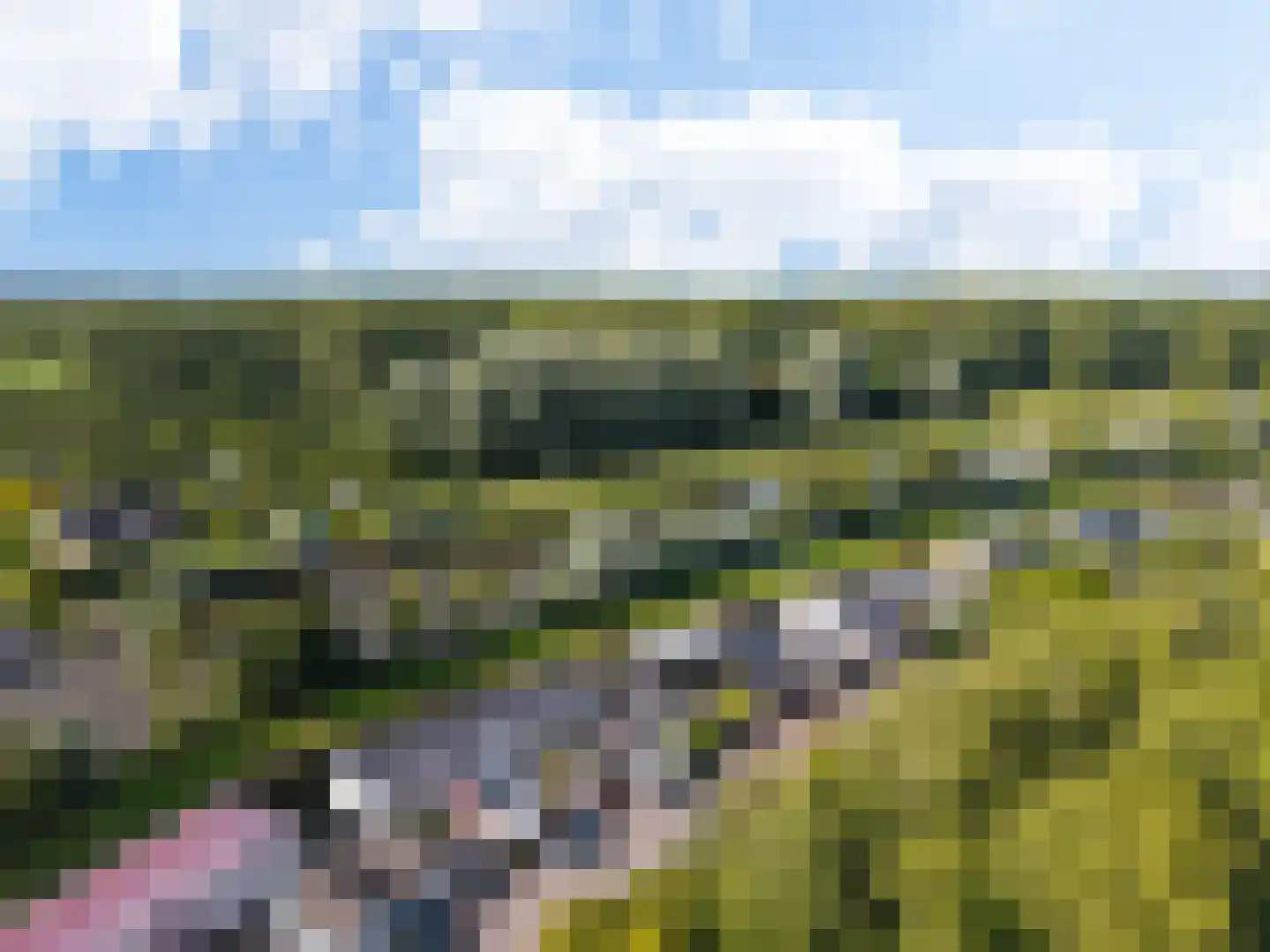 it Anker 9 Snakkerburen thumbnail 50