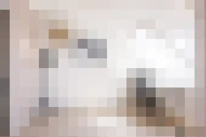 It Ankerplak 6 Franeker thumbnail 42