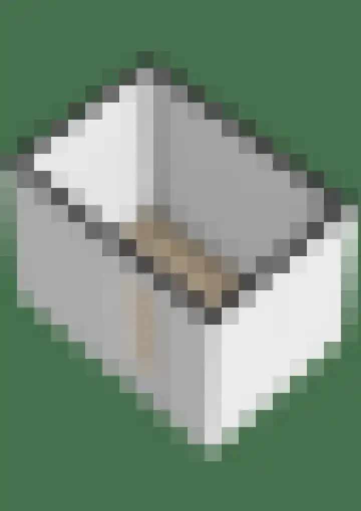 It Ankerplak 6 Franeker thumbnail 55