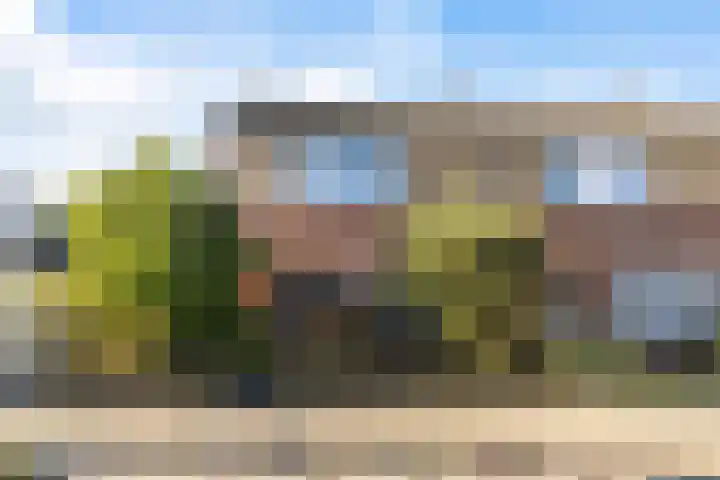 It Apelhôf 10 Hallum