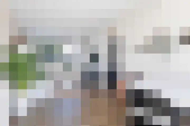 It Apelhôf 10 Hallum thumbnail 11
