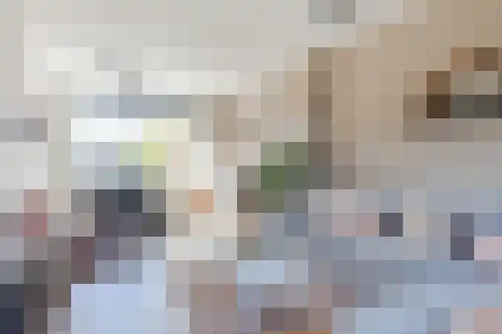 It Apelhôf 10 Hallum thumbnail 12