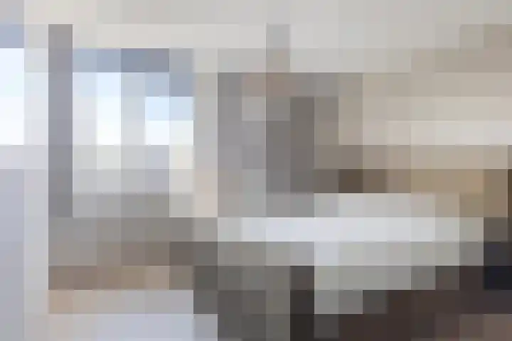 It Apelhôf 10 Hallum thumbnail 18