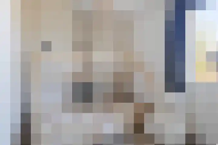 It Apelhôf 10 Hallum thumbnail 22