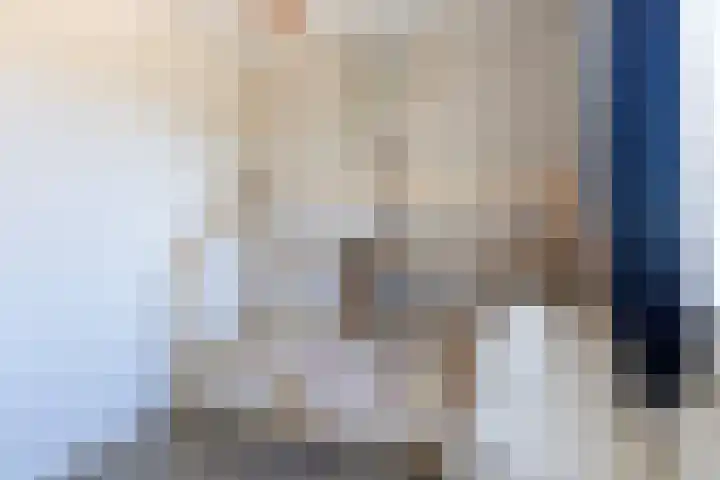 It Apelhôf 10 Hallum thumbnail 23