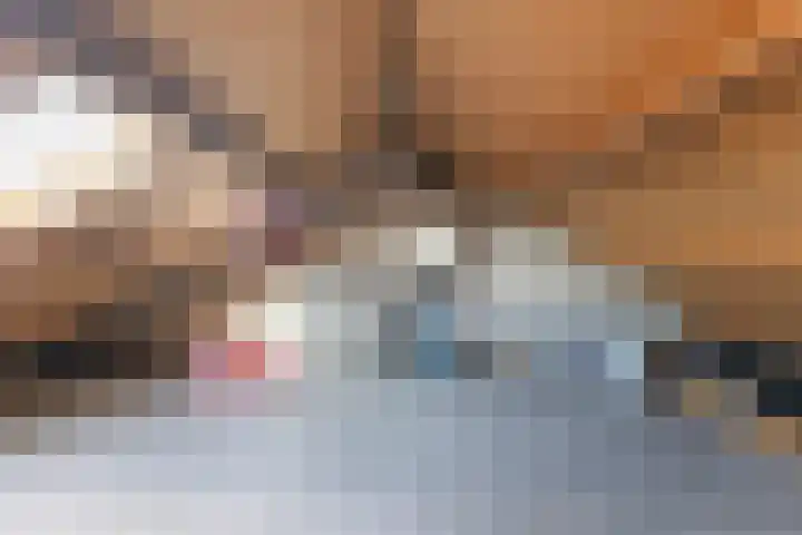 It Apelhôf 10 Hallum thumbnail 29