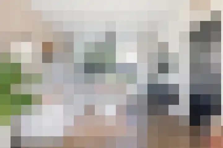 It Apelhôf 10 Hallum foto 3