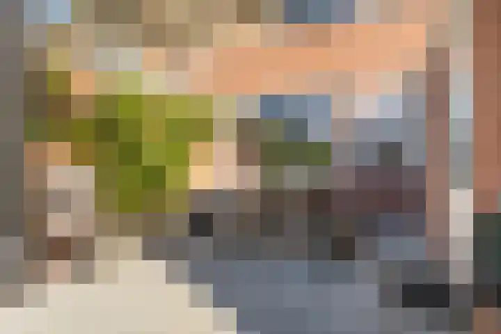 It Apelhôf 10 Hallum thumbnail 32