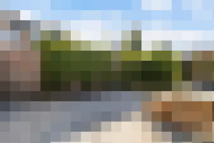 It Apelhôf 10 Hallum thumbnail 34